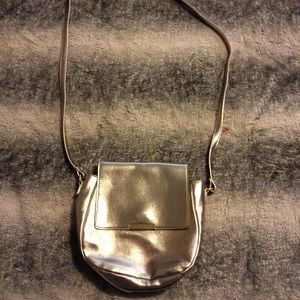 Ion Color Brilliance Gold purse